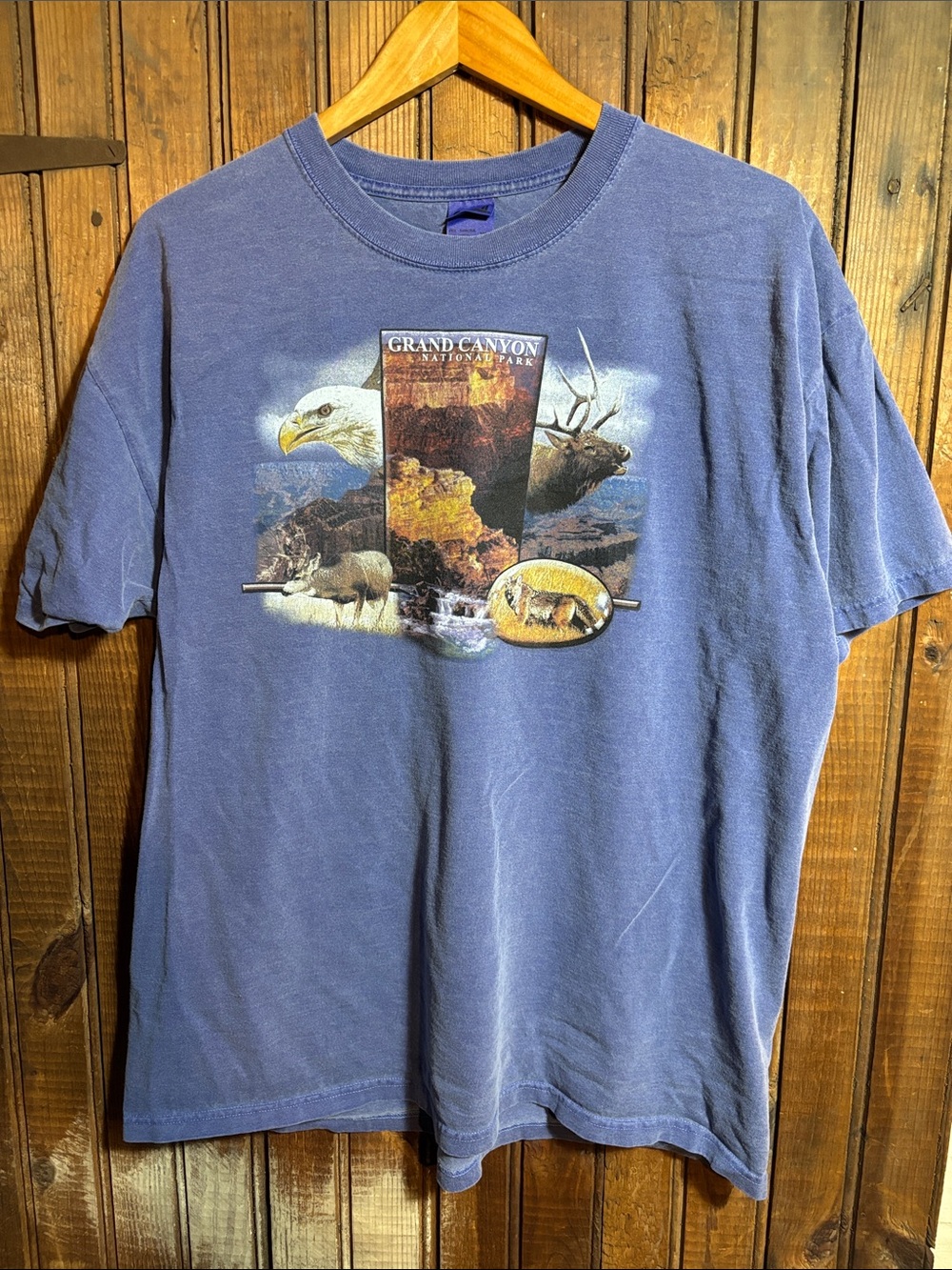 Anvil Grand Canyon Graphic Tee - Blue Men’s Short Sleeve Shirt